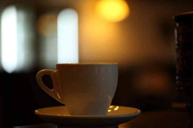 Meeting with Thai coffee farmers in mountain plantation