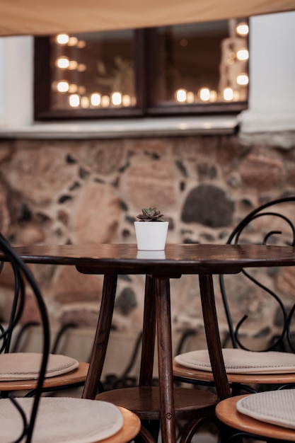 Thai highland coffee cherries on branches in mountain plantation